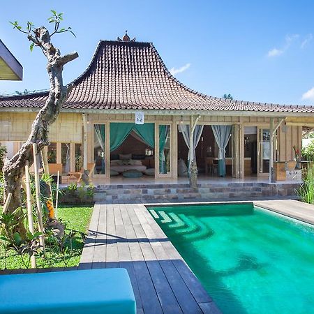 Mana Sari Villa Ubud Kültér fotó